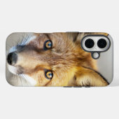 Red Fox Face, Nah-up Case-Mate iPhone Hülle (Rückseite (Horizontal))