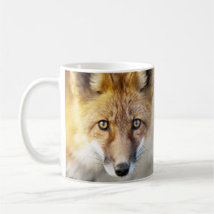 Red Fox Face, Nahe Tasse