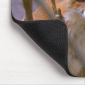 Red Fox Family Nature Lover Individuelle Name Mousepad (Ecke)