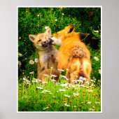 Red Fox Family Wildlife Tender Nature Art Print Poster (Vorne)