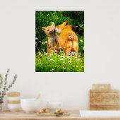 Red Fox Family Wildlife Tender Nature Art Print Poster (Küche)