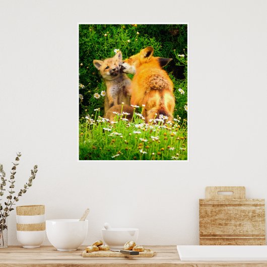 Red Fox Family Wildlife Tender Nature Art Print Poster (Küche)
