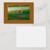 Red Fox Flat Note Card Mitteilungskarte (Vorne/Hinten)