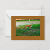 Red Fox Flat Note Card Mitteilungskarte (Vorderseite)