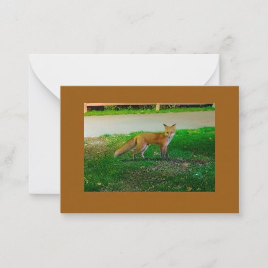 Red Fox Flat Note Card Mitteilungskarte (Vorderseite)