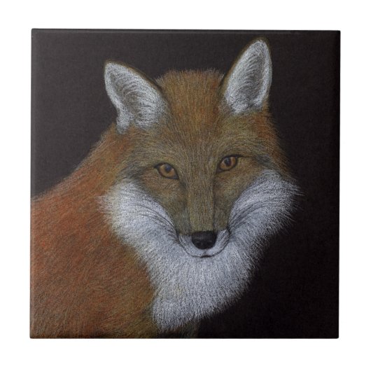 Red Fox Fliese (Vorderseite)