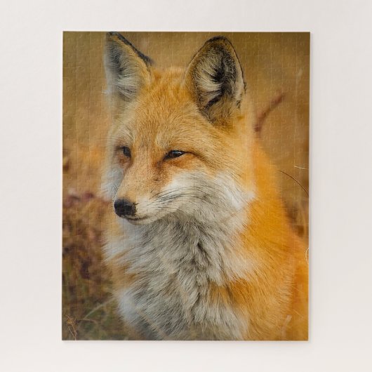 Red Fox Foto Puzzle (Vertikal)