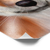 Red Fox Fotodruck (Ecke)