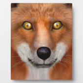 Red Fox Fotoplatte (Vorderseite)