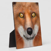 Red Fox Fotoplatte (Seite)