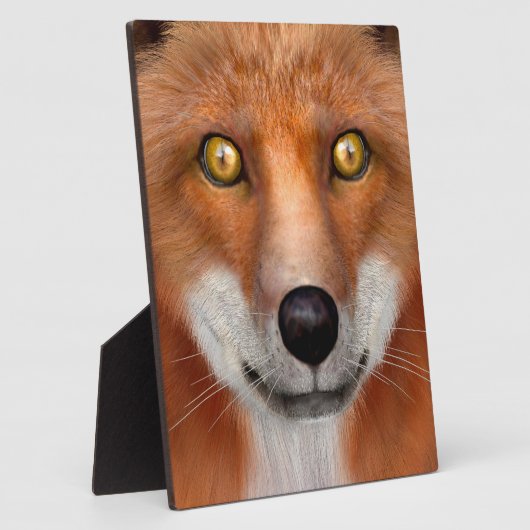 Red Fox Fotoplatte (Seite)