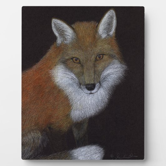 Red Fox Fotoplatte (Vorderseite)