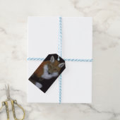 Red Fox Geschenkanhänger (Mit Garn)