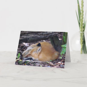 Red Fox Grußkarte Karte