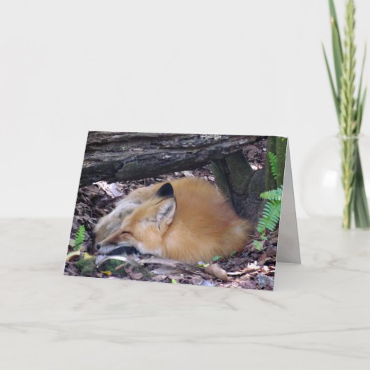 Red Fox Grußkarte Karte (Vorderseite)