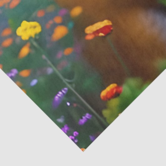 Red Fox im Bereich der Wildblumen Seidenpapier (Detail)