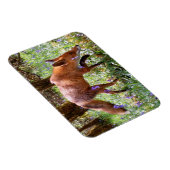 Red Fox im flexiblen Foto der Bluebells Magnet (Rechte Seite)