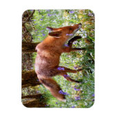 Red Fox im flexiblen Foto der Bluebells Magnet (Vertikal)