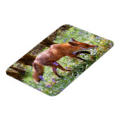 Red Fox im flexiblen Foto der Bluebells Magnet (Linke Seite)
