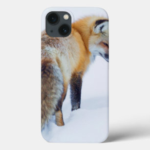Red Fox im Winter Case-Mate iPhone Hülle