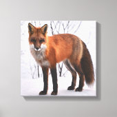 Red Fox im Winter Leinwanddruck (Vorderseite)