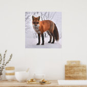 Red Fox im Winter Poster (Küche)