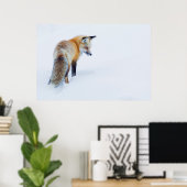 Red Fox im Winter Poster (Heimbüro)