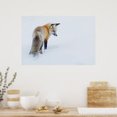 Red Fox im Winter Poster (Küche)