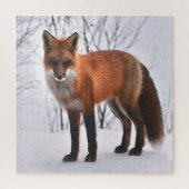 Red Fox im Winter Puzzle (Vertikal)