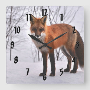 Red Fox im Winter Quadratische Wanduhr