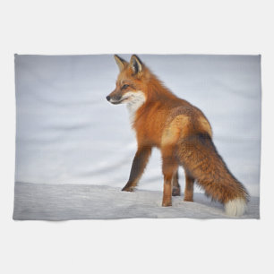 Red Fox im Winterschnee Geschirrtuch