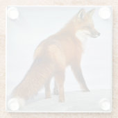 Red Fox im Winterschnee Glasuntersetzer (Rückseite)