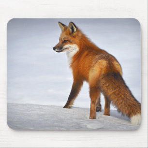 Red Fox im Winterschnee Mousepad