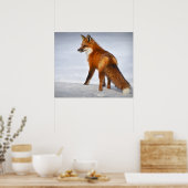 Red Fox im Winterschnee Poster (Küche)