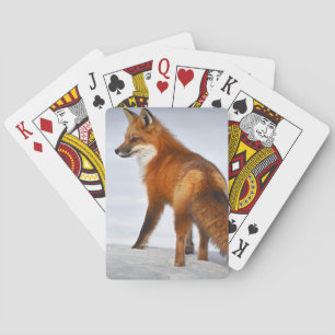 Red Fox im Winterschnee Spielkarten