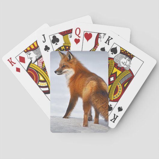 Red Fox im Winterschnee Spielkarten (Rückseite)