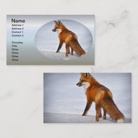 Red Fox im Winterschnee Visitenkarte (Vorne/Hinten)
