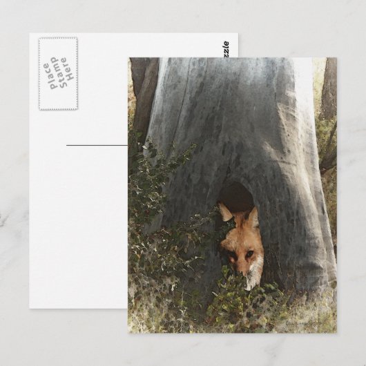 Red Fox in a Tree Geschenke und Bekleidung Postkarte (Vorne/Hinten)