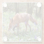 Red Fox in den Bluebells Glasuntersetzer (Rückseite)