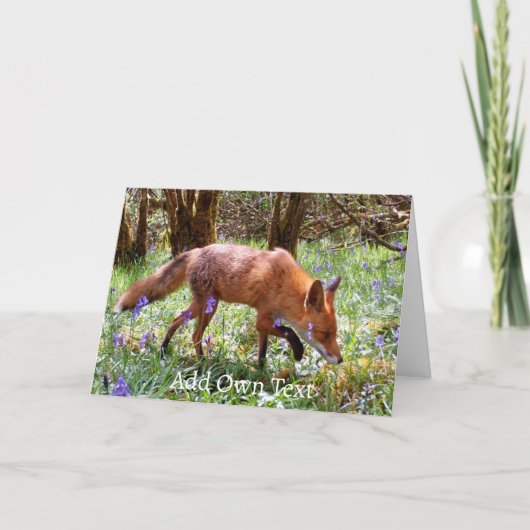 Red Fox in den Bluebells Karte (Vorderseite)
