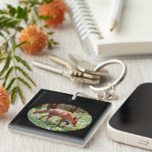 Red Fox in den Bluebells Schlüsselanhänger (Vorderseite rechts)