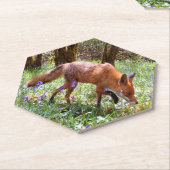 Red Fox in den Bluebells Untersetzer (angewinkelt)