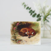 Red Fox in Front of Her Den Postkarte (Stehend Vorderseite)
