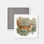 Red Fox in Rustic Country Hütte Illustration Magnet (Vorderseite/Rückseite)