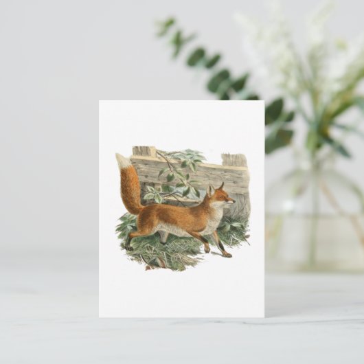 Red Fox in Rustic Country Hütte Illustration Postkarte (Stehend Vorderseite)