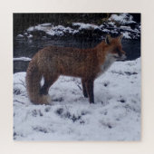 Red Fox in Snow Jigsaw Puzzle (Vertikal)