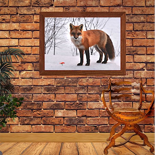 Red Fox in Snow Poster