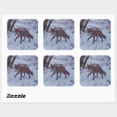 Red Fox in Snow Quadratischer Aufkleber (Blatt)