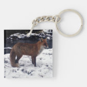 Red Fox in Snow Schlüsselanhänger (Rückseite)