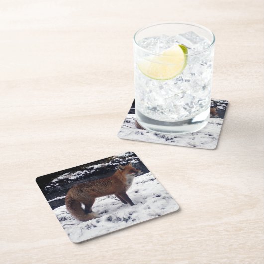 Red Fox in Snow Untersetzer (Vor Ort)